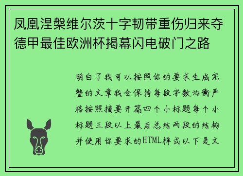 凤凰涅槃维尔茨十字韧带重伤归来夺德甲最佳欧洲杯揭幕闪电破门之路